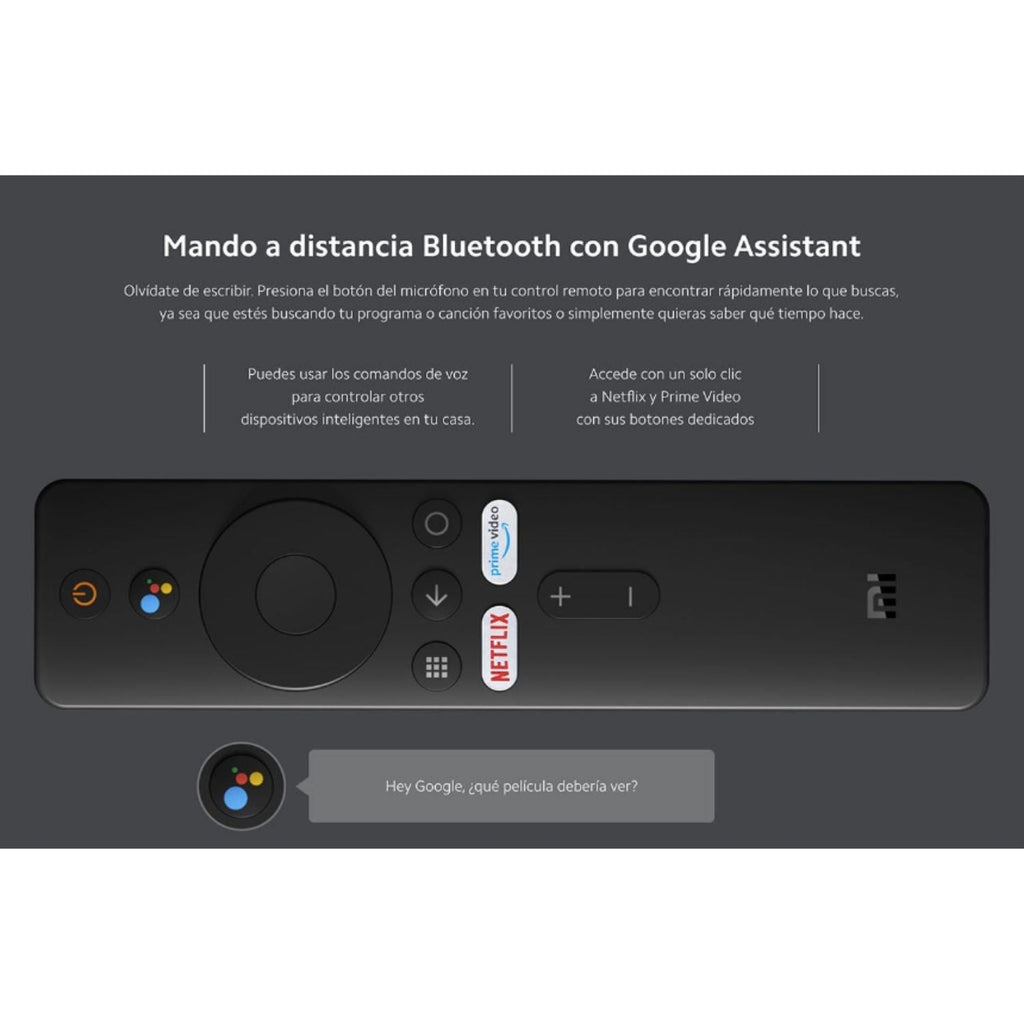 Stick Xiaomi TV Full HD Negro HDMI