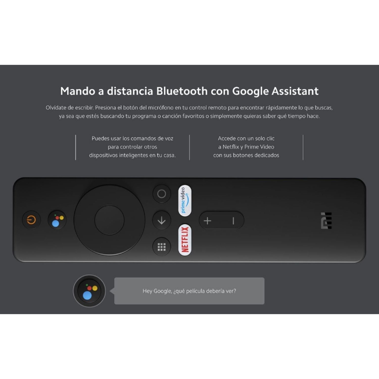 Stick Xiaomi TV Full HD Negro HDMI